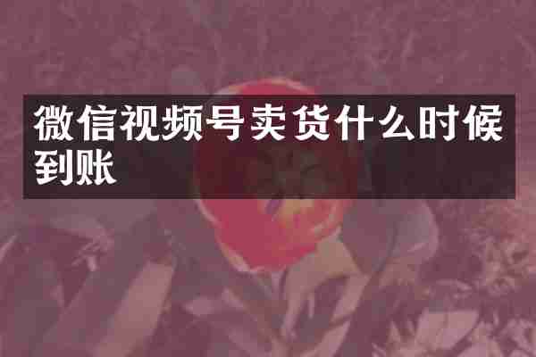 微信视频号卖货什么时候到账