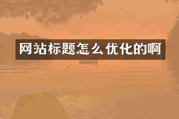 网站标题怎么优化的啊