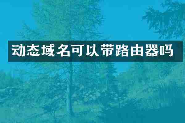 动态域名可以带路由器吗