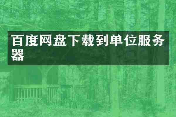百度网盘下载到单位服务器