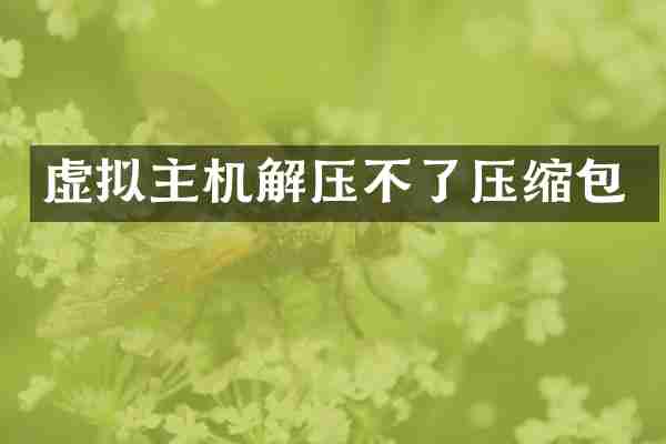虚拟主机解压不了压缩包