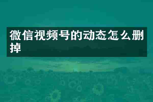 微信视频号的动态怎么删掉