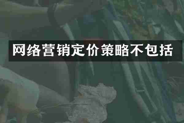 网络营销定价策略不包括