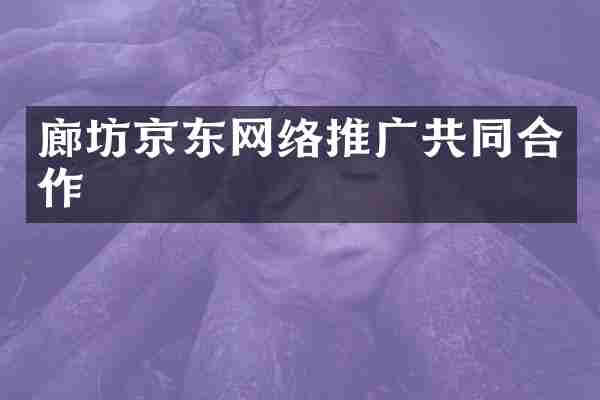 廊坊京东网络推广共同合作