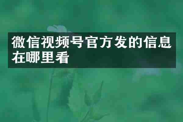 微信视频号官方发的信息在哪里看