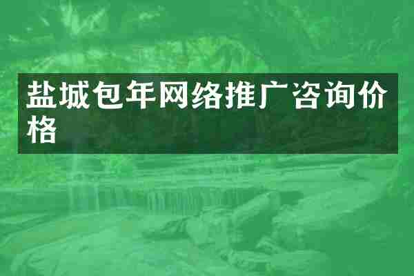 盐城包年网络推广咨询价格