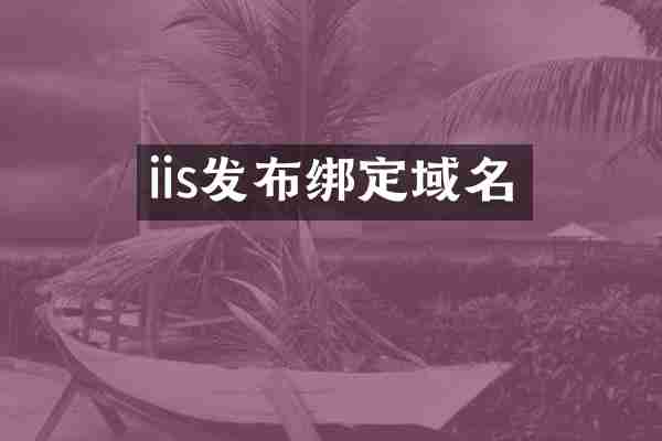 iis发布绑定域名