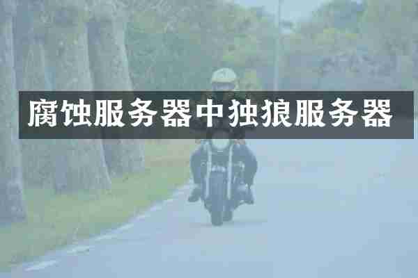腐蚀服务器中独狼服务器