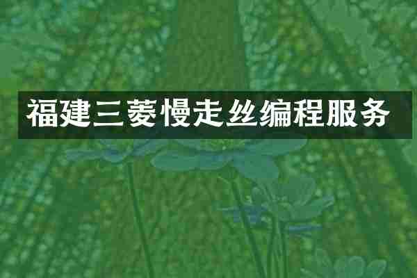 福建三菱慢走丝编程服务