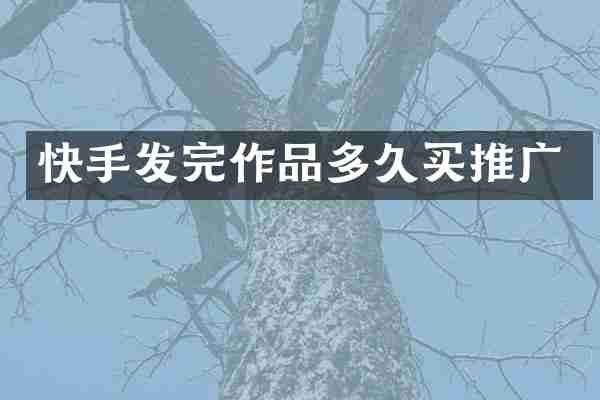 快手发完作品多久买推广