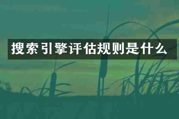 搜索引擎评估规则是什么