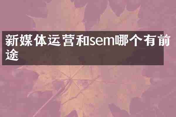 新媒体运营和sem哪个有前途