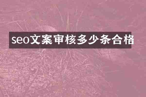 seo文案审核多少条合格