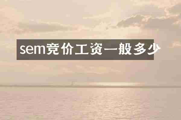 sem竞价工资一般多少