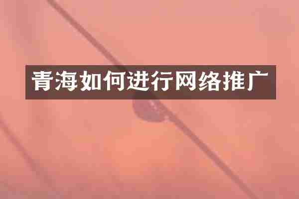 青海如何进行网络推广