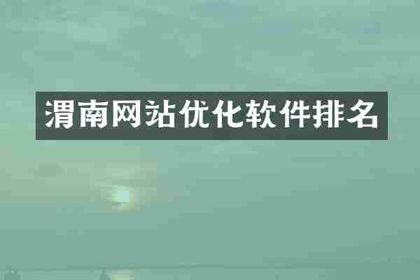 渭南网站优化软件排名