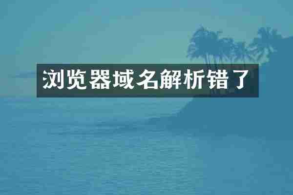 浏览器域名解析错了