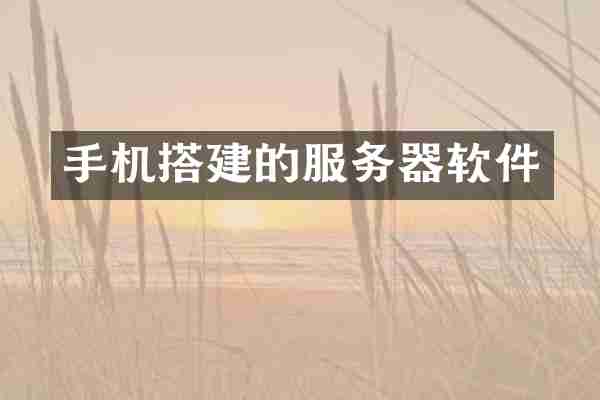 手机搭建的服务器软件