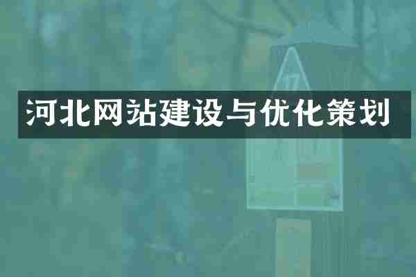 河北网站建设与优化策划