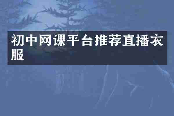 初中网课平台推荐直播衣服