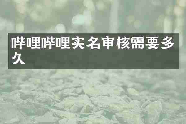 哔哩哔哩实名审核需要多久