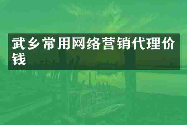 武乡常用网络营销代理价钱