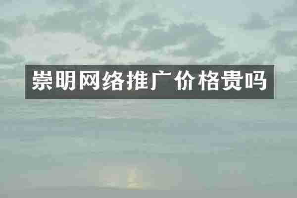 崇明网络推广价格贵吗