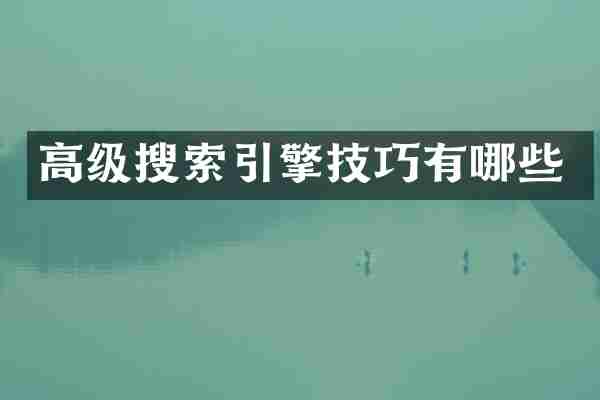 高级搜索引擎技巧有哪些