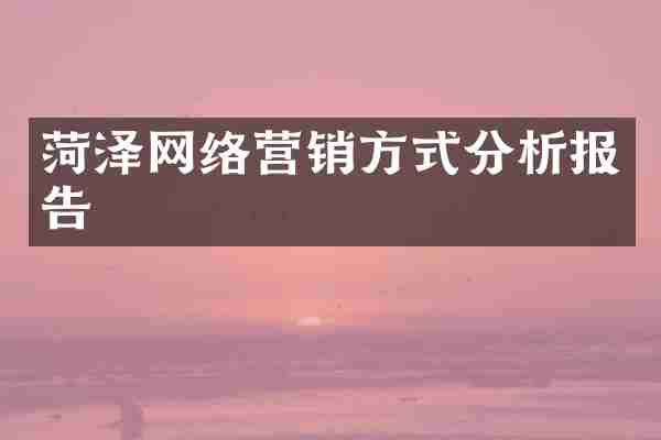 菏泽网络营销方式分析报告