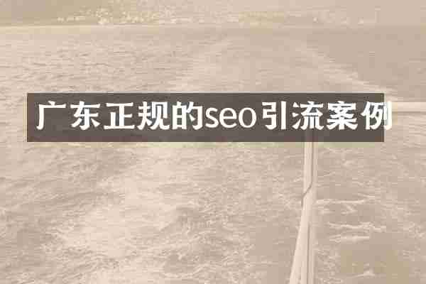 广东正规的seo引流案例