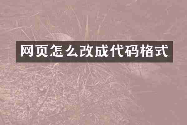 网页怎么改成代码格式