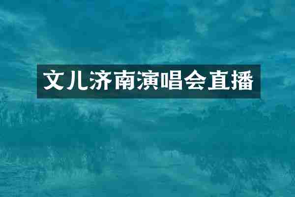 文儿济南演唱会直播