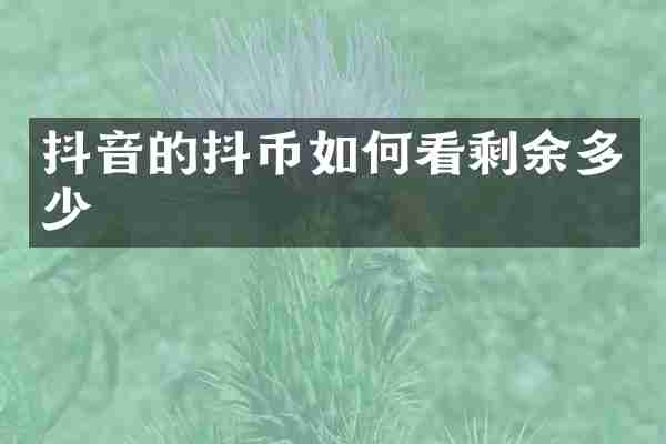抖音的抖币如何看剩余多少