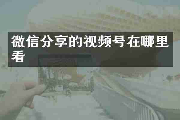 微信分享的视频号在哪里看