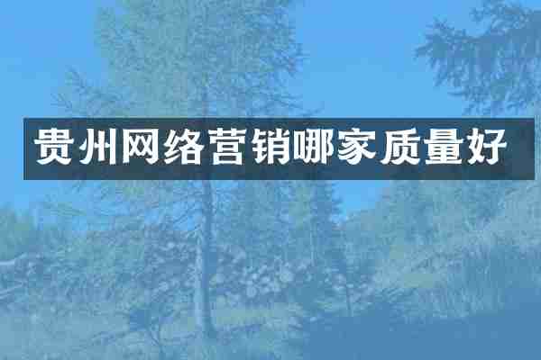 贵州网络营销哪家质量好
