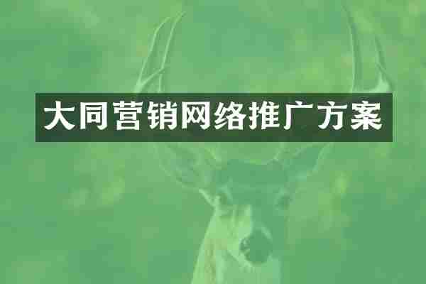 大同营销网络推广方案