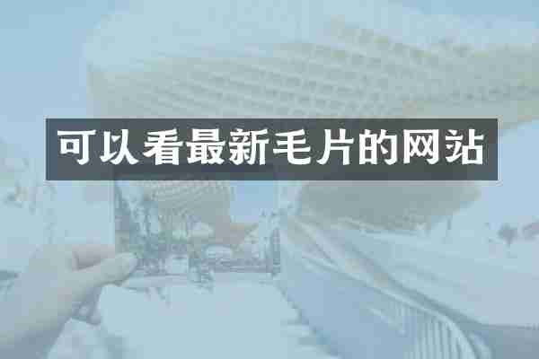 可以看最新毛片的网站