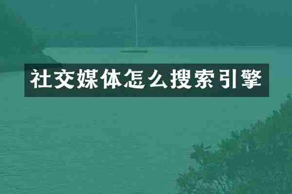 社交媒体怎么搜索引擎