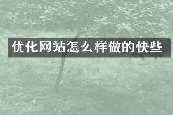 优化网站怎么样做的快些