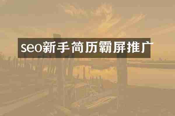 seo新手简历霸屏推广
