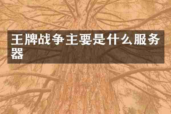 王牌战争主要是什么服务器