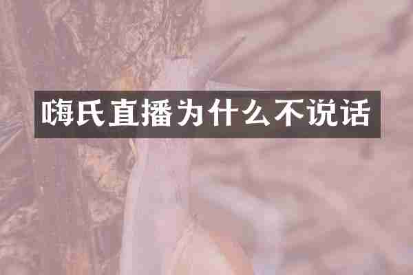 嗨氏直播为什么不说话