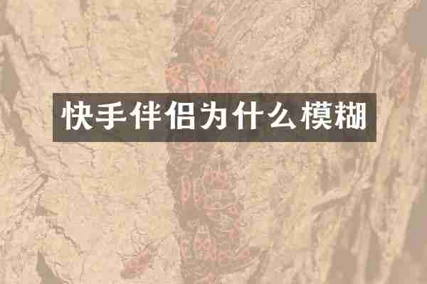 快手伴侣为什么模糊