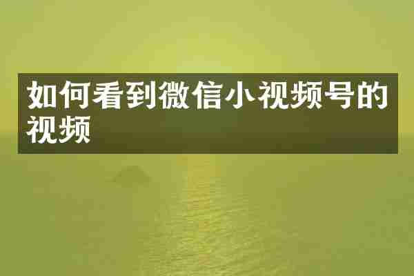 如何看到微信小视频号的视频