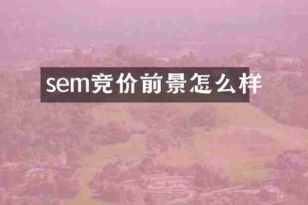 sem竞价前景怎么样