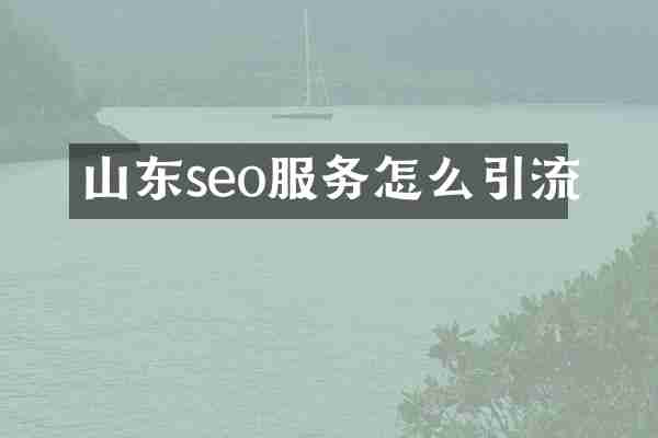 山东seo服务怎么引流
