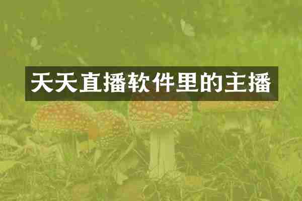 天天直播软件里的主播