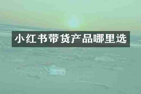小红书带货产品哪里选