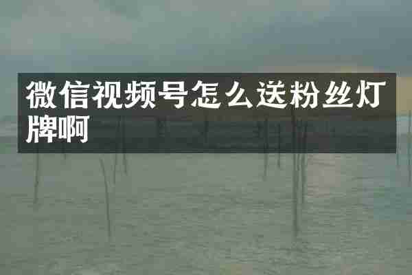 微信视频号怎么送粉丝灯牌啊