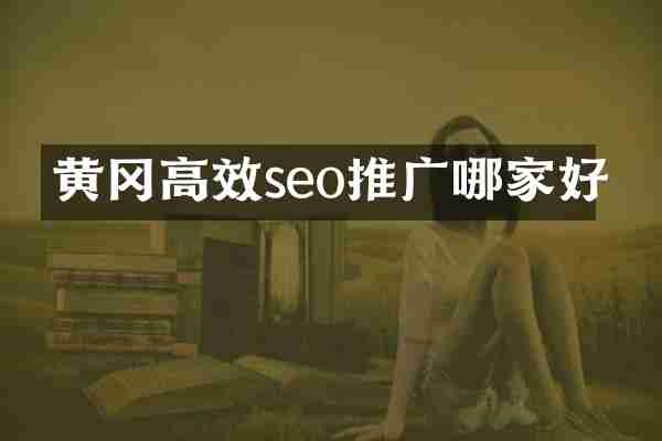 黄冈高效seo推广哪家好